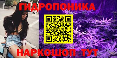 крисы Абинск