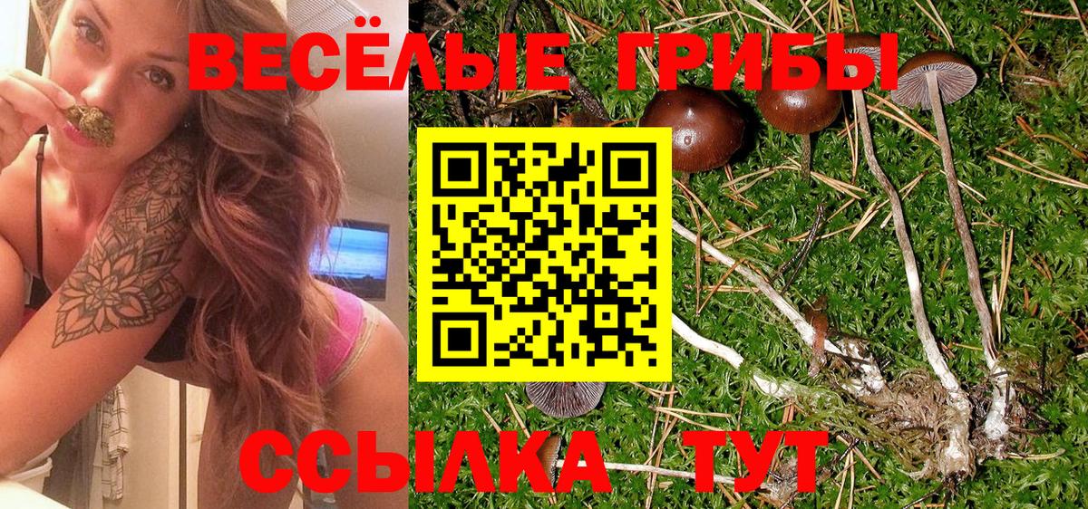 Алексин  Псилоцибиновые грибы ЛСД  Галлюциногенные грибы мицелий  Вход с VPN 