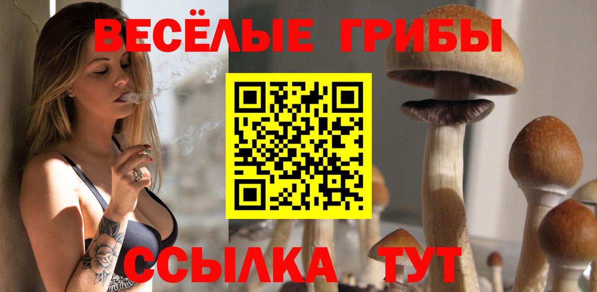 Галлюциногенные грибы GOLDEN TEACHER Алексин